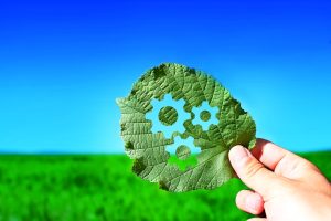 gears cut out of a green leaf against a sky