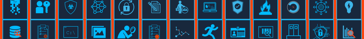 Raz Lee Security Solutions For Frontier Erp