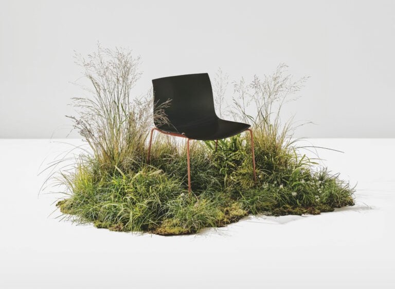 Paper Shell, wood product manufacturing, innovation, sustainability