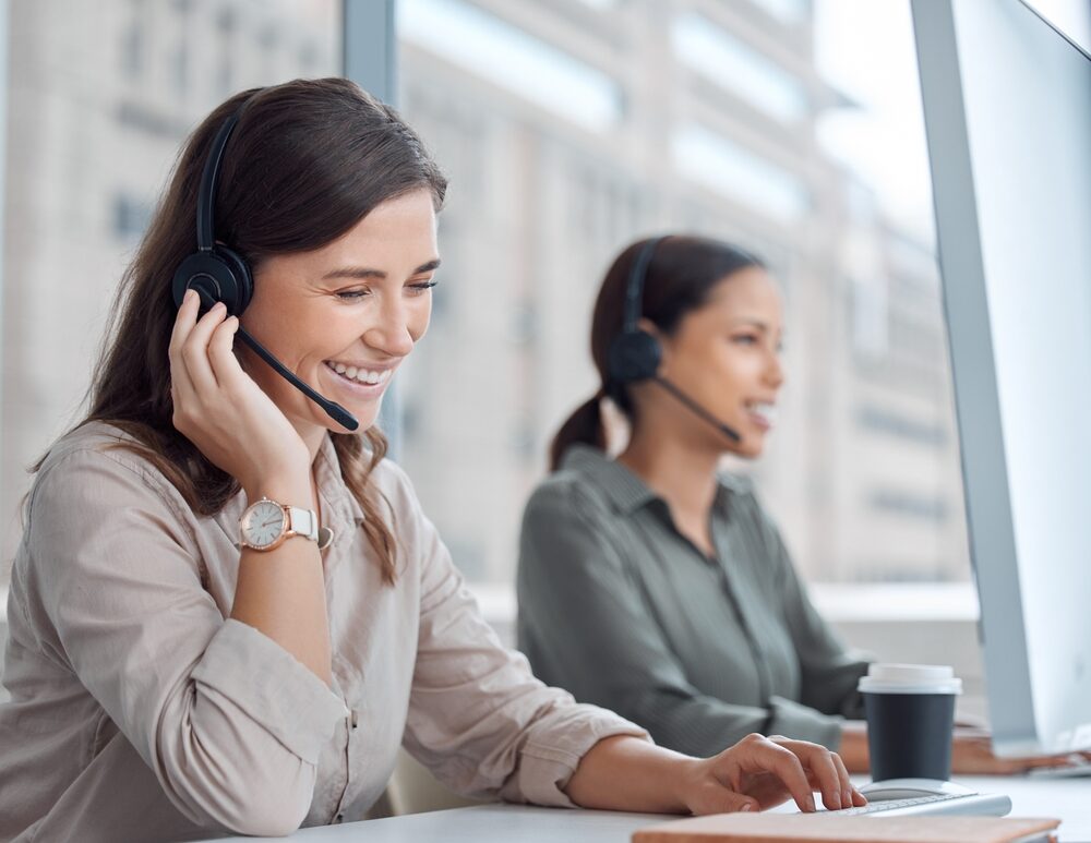 professional support, erp systems, professional services